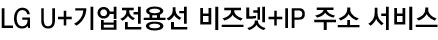 LG U+ 기업인터넷 오피스넷