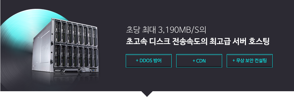 초고속 디스크 전송속도의 최고급 서버 호스팅