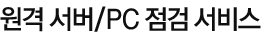 원격 서버 및 PC 점검 서비스